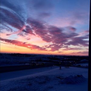 Meet your Posher, Holly